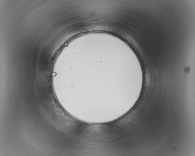 X0000113910828200909241303