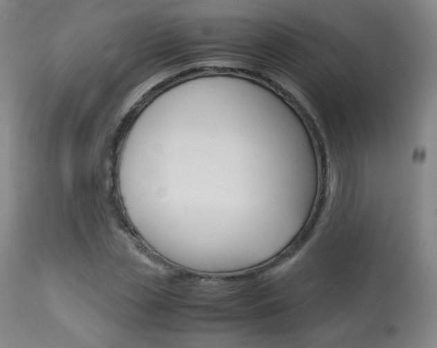 X0000113910829200909241304