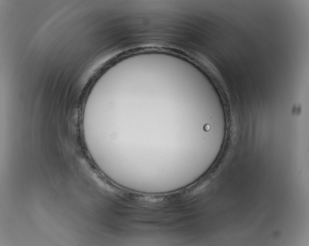 X0000113910831200909241304