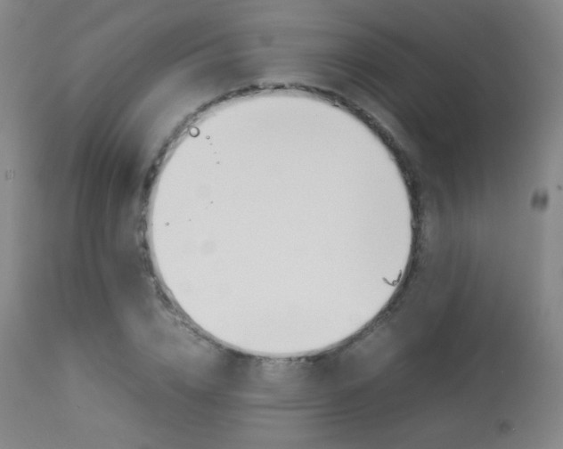 X0000113910832200909241304