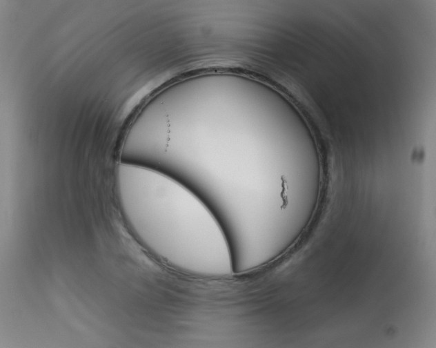 X0000113910834200909241304