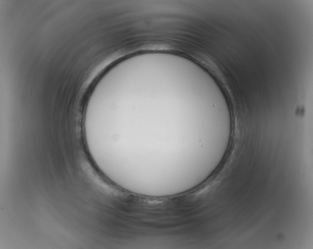 X0000113910835200909241304