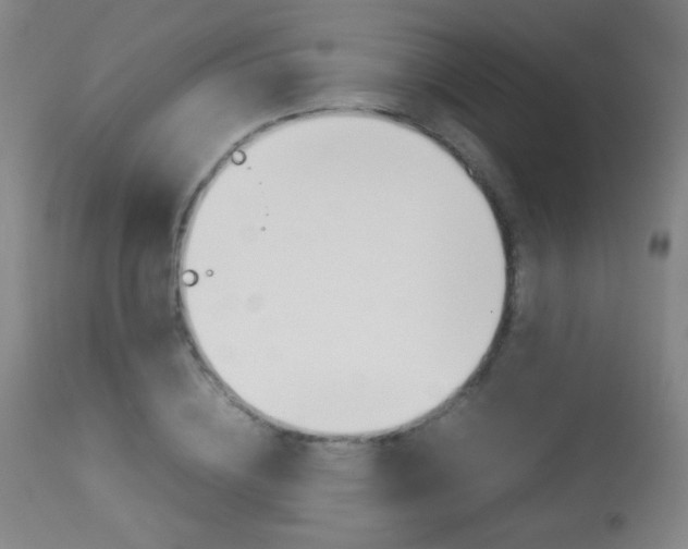 X0000113910836200909241304