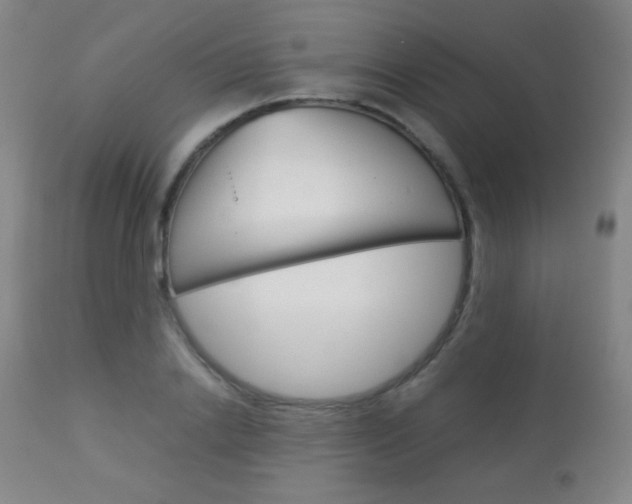 X0000113910838200909241304