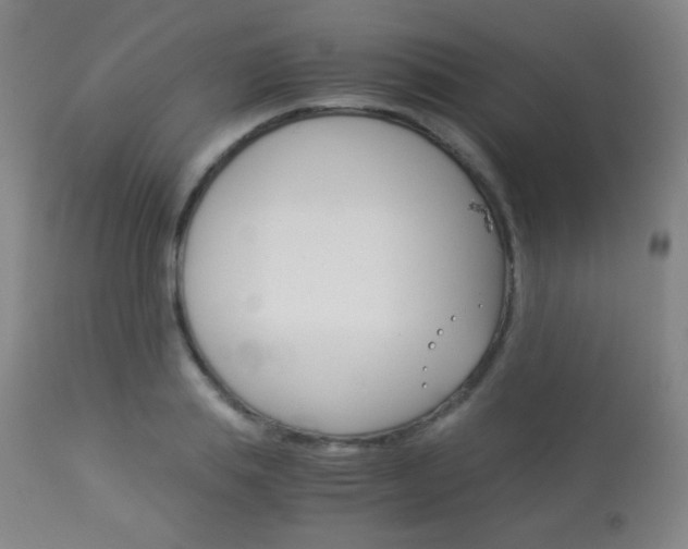 X0000113910839200909241304