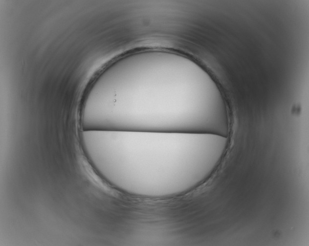 X0000113910840200909241304