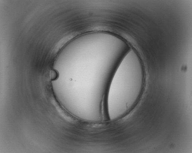 X0000113910841200909241304