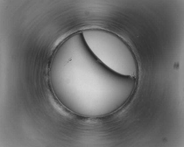 X0000113910842200909241304