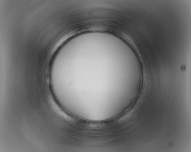 X0000113910843200909241304