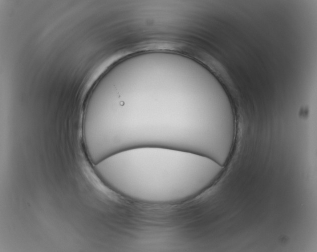 X0000113910844200909241304