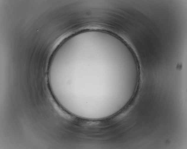 X0000113910845200909241304