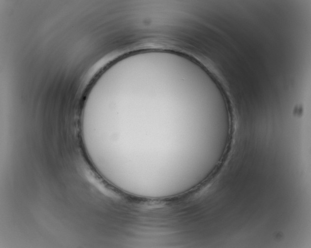 X0000113910846200909241304