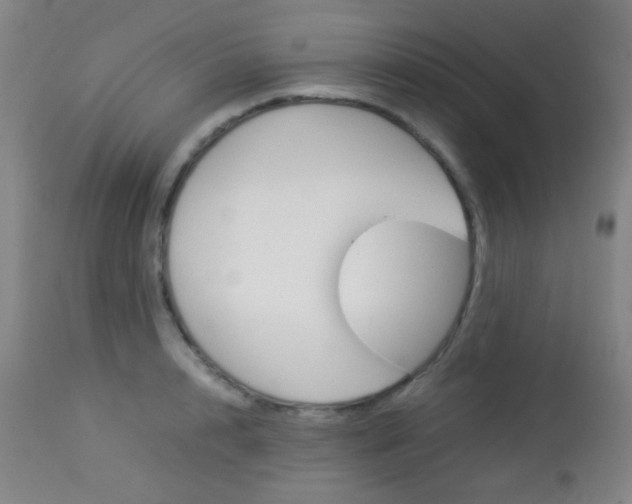 X0000113910848200909241304