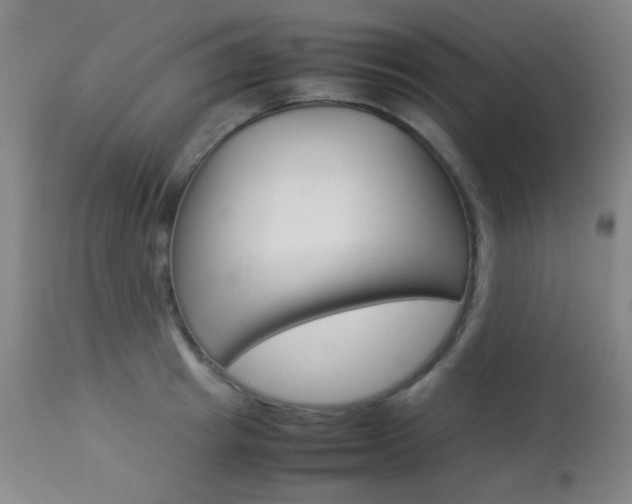 X0000113910849200909241304