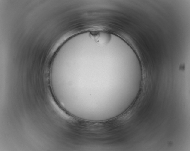 X0000113910851200909241304
