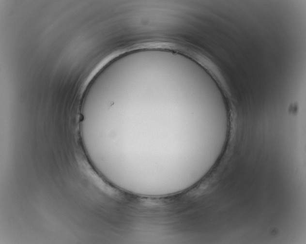 X0000113910852200909241304