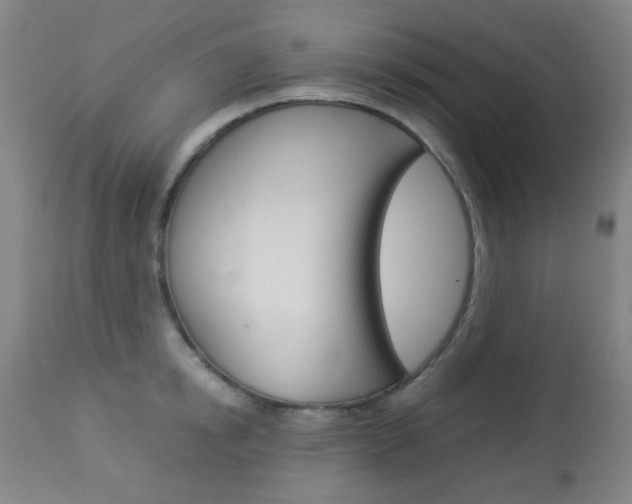 X0000113910854200909241304