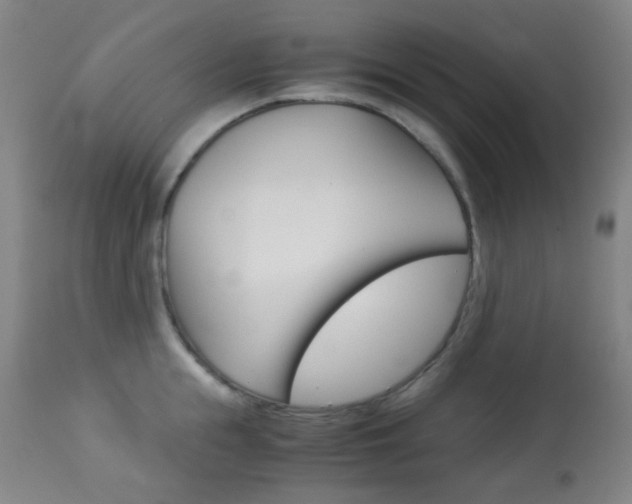 X0000113910855200909241304