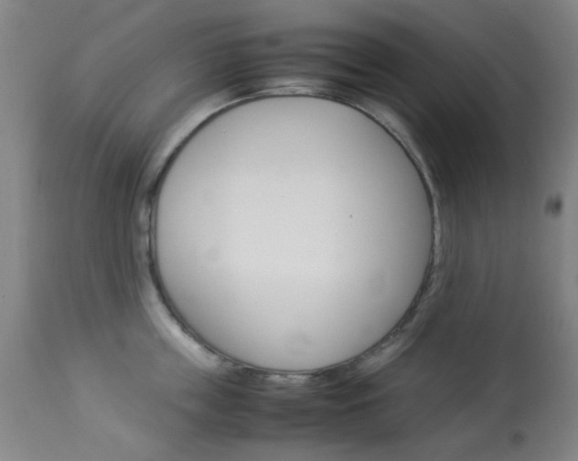 X0000113910859200909241304