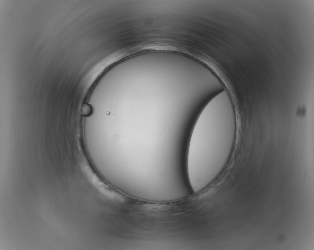X0000113910861200909241304