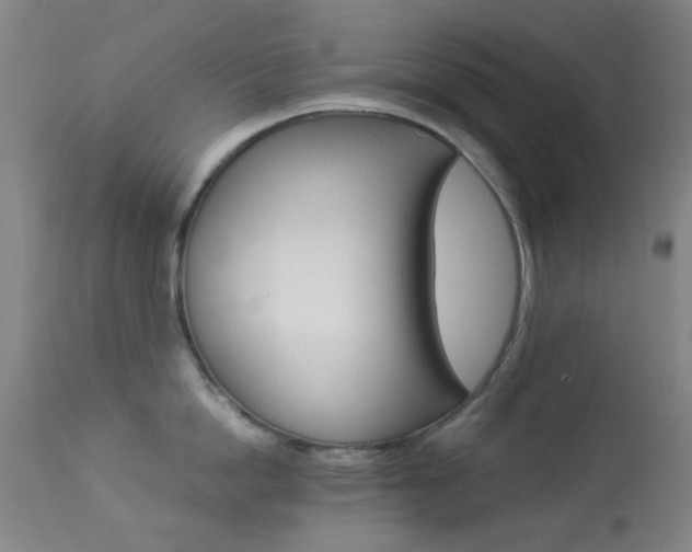 X0000113910862200909241304