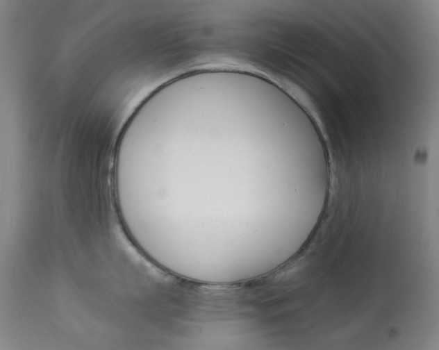 X0000113910863200909241304
