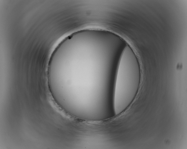 X0000113910864200909241304