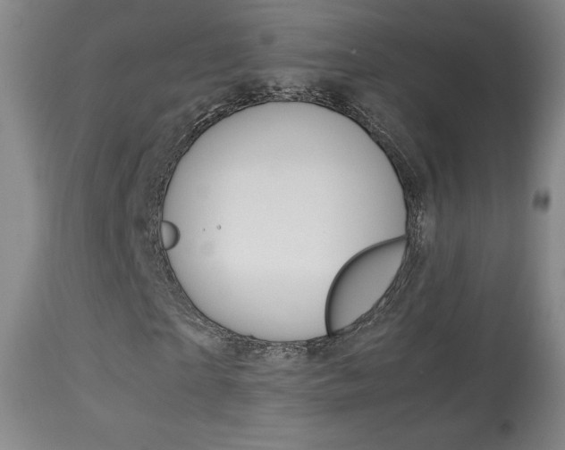 X0000113910865200909241303