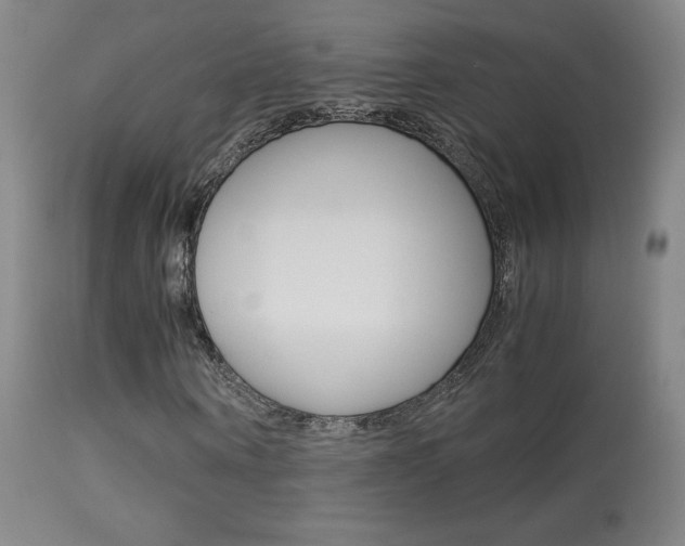 X0000113910866200909241303