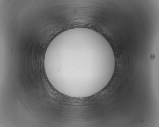 X0000113910868200909241303