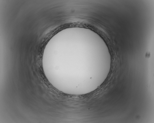 X0000113910869200909241303