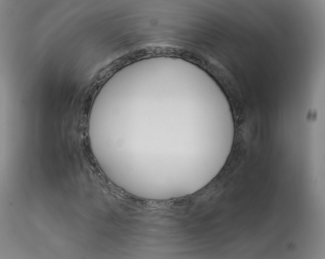 X0000113910870200909241303