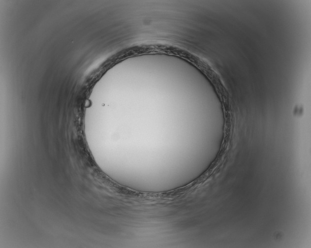 X0000113910871200909241303