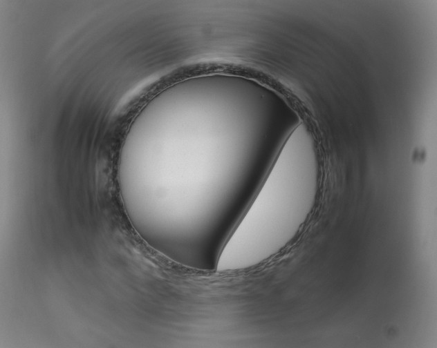 X0000113910872200909241303