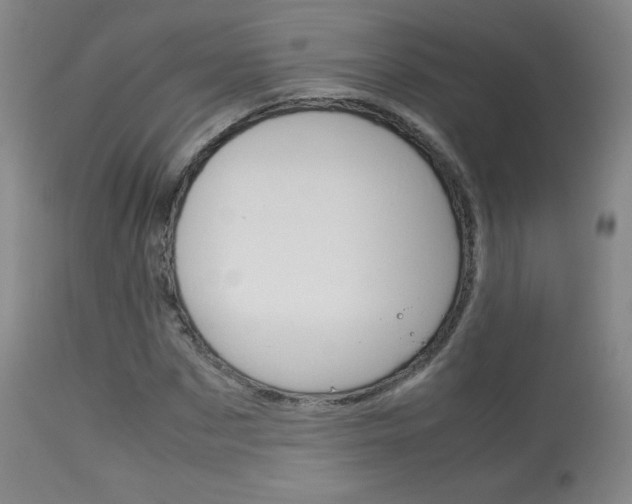 X0000113910873200909241303