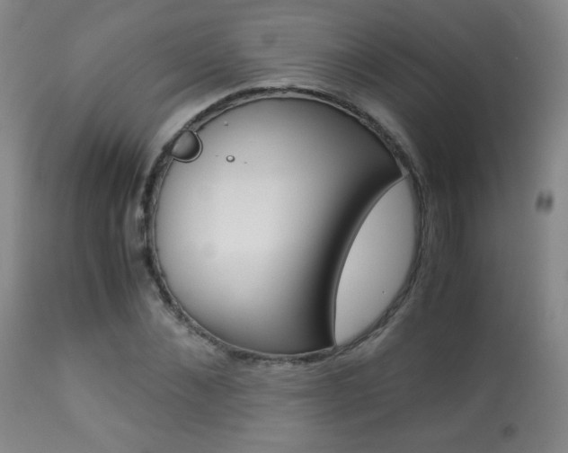 X0000113910876200909241303