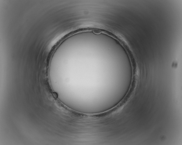 X0000113910877200909241303