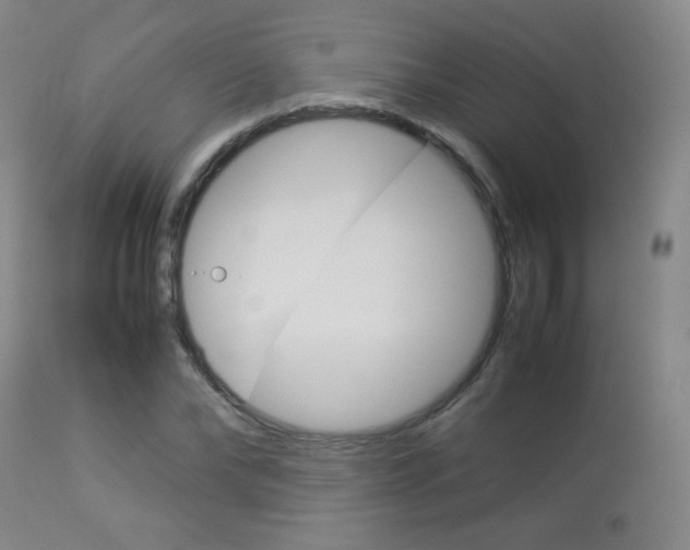 X0000113910878200909241303