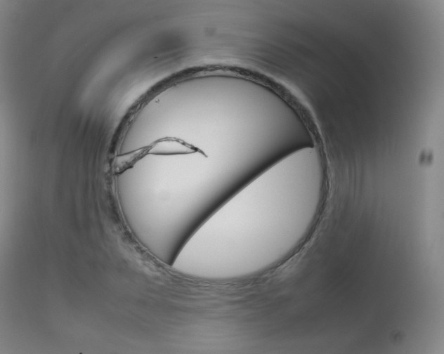 X0000113910879200909241303