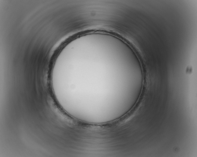 X0000113910880200909241303
