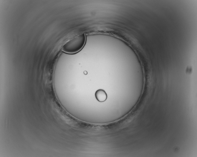 X0000113910881200909241303