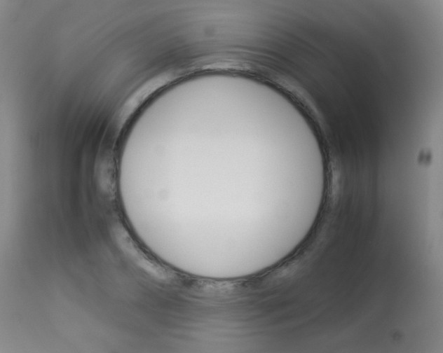 X0000113910882200909241303