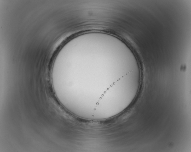 X0000113910883200909241303