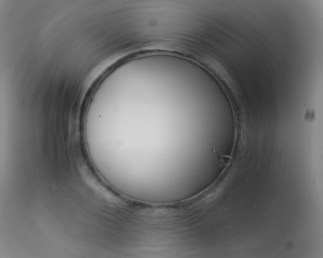X0000113910884200909241303
