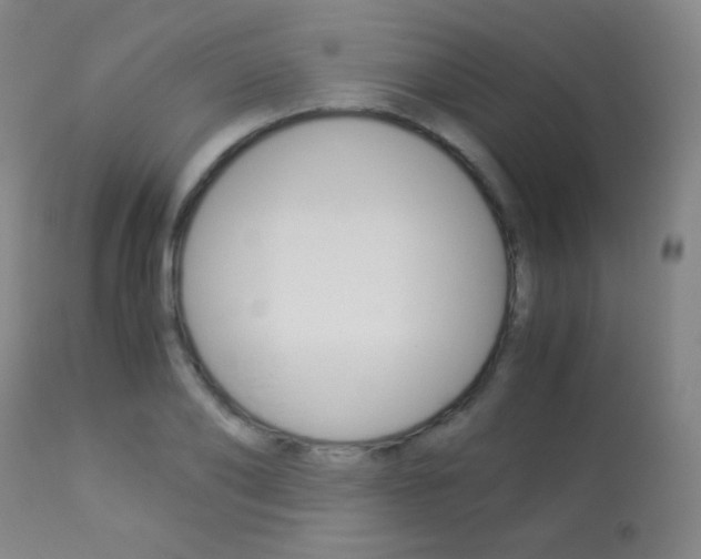 X0000113910886200909241303