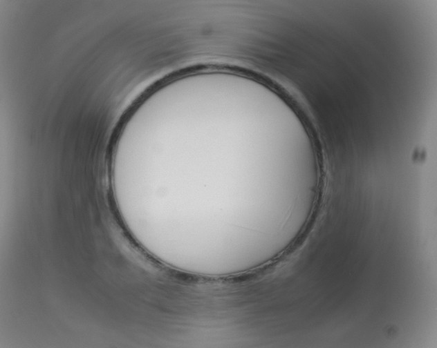 X0000113910887200909241303