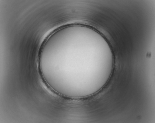 X0000113910888200909241303