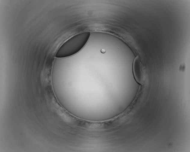 X0000113910889200909241303