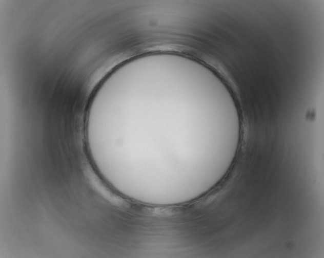X0000113910890200909241303