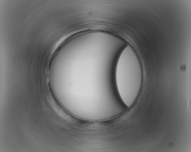 X0000113910891200909241303
